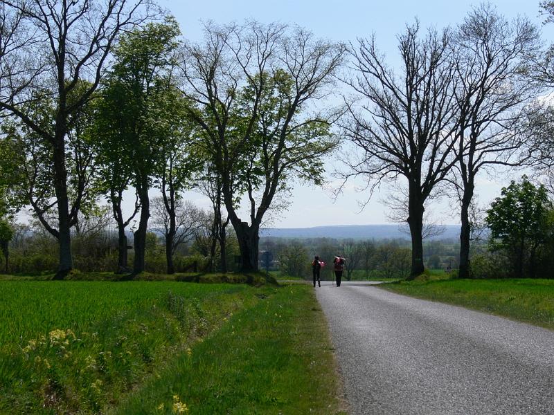 Mont Saint Michel 2010 - 175.jpg